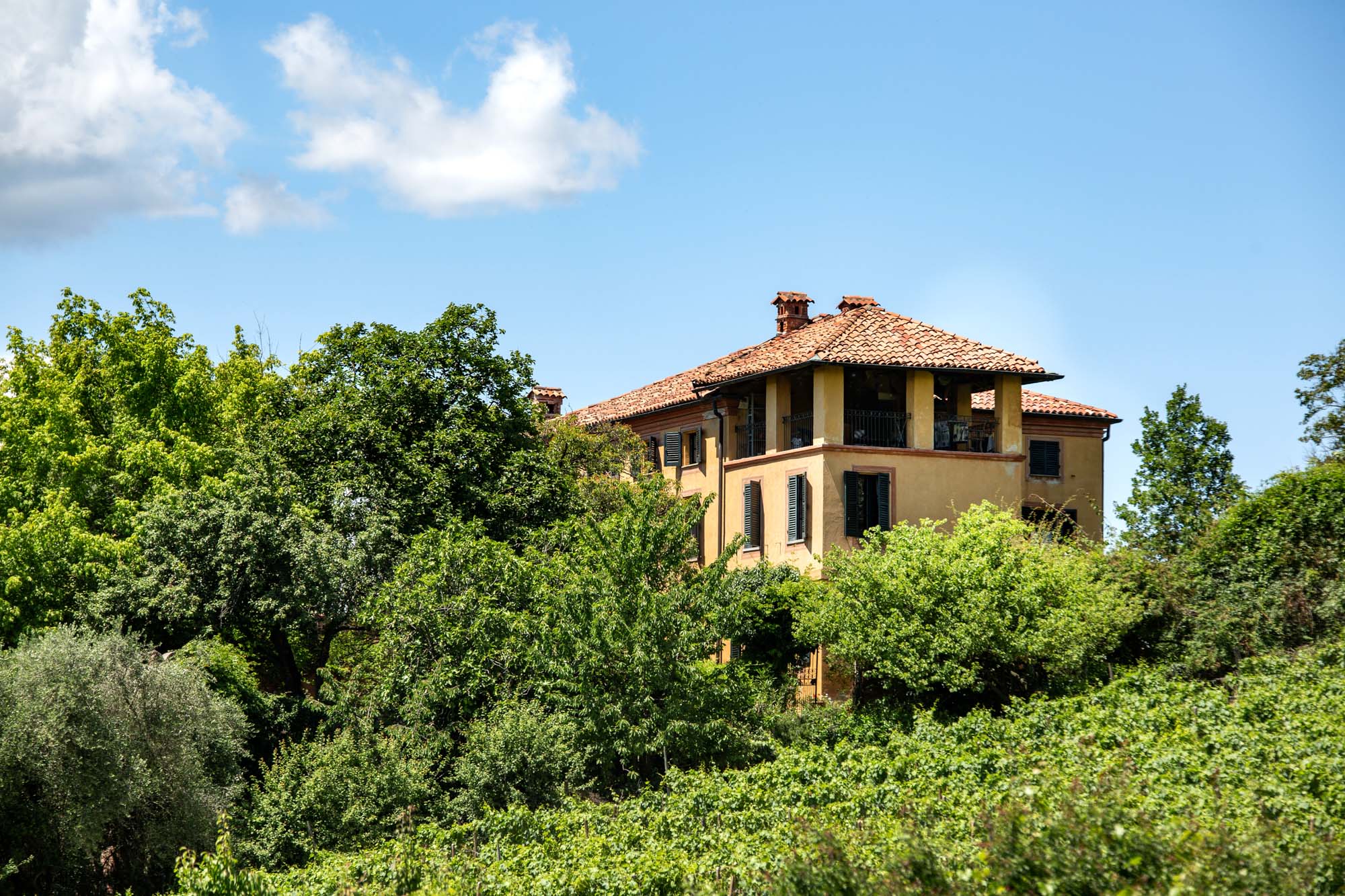 Nye Vine fra Cascina Gilli i Piemonte