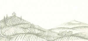 vineyard_drawing