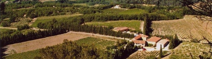 Nye vine fra Ventoux, Domaine des Anges